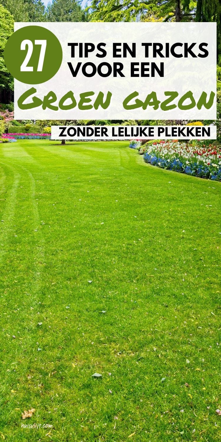 Lasts van geel gras? 27 simpele tips voor een groen gazon 1 groen gazon