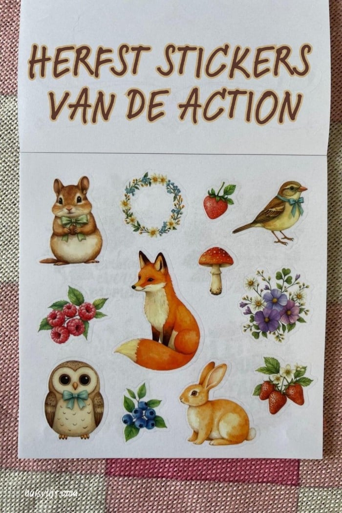 Action winkel stickers met o.a. herfst stickers + 23 toepassingen! 4 herfst stickers