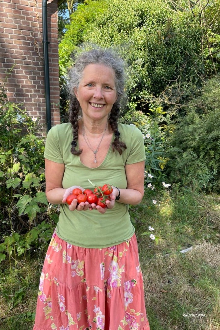 Onze moestuin oogst dit jaar (het viel tegen!) 1 tomaten uit de oogst moestuin