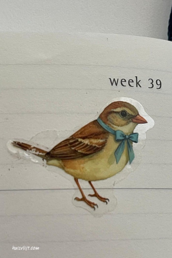 Action winkel stickers met o.a. herfst stickers + 23 toepassingen! 5 vogel sticker