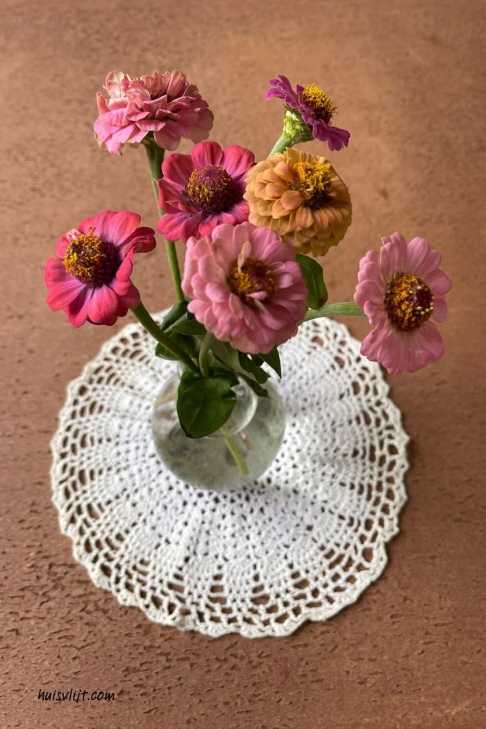 Zinnias in een vaasje en grote plannen! 2 zinnias