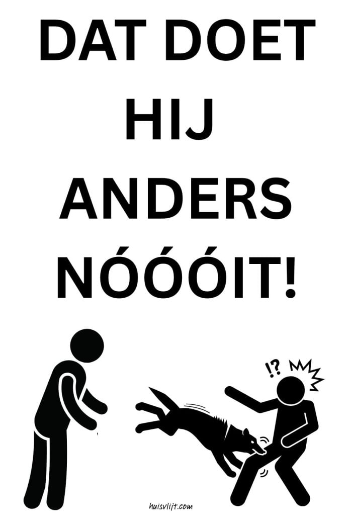 Dat doet hij anders nooit! 2 hondenbaasjes