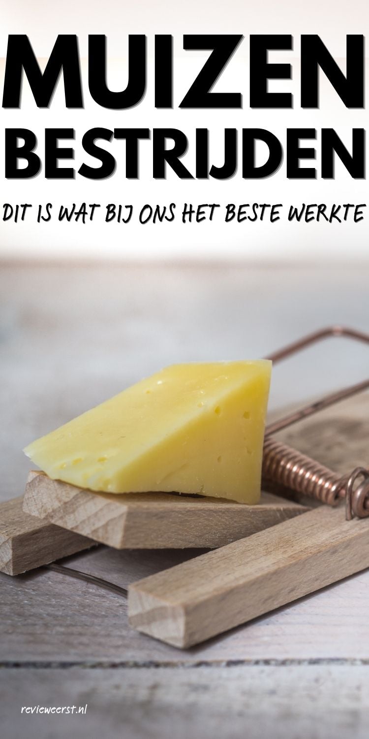 Huisvlijt Weekoverzicht: muizen in huis, vlechtjes voor dummies, rouw voelen of voeden en meer! 3 muizen bestrijden tip