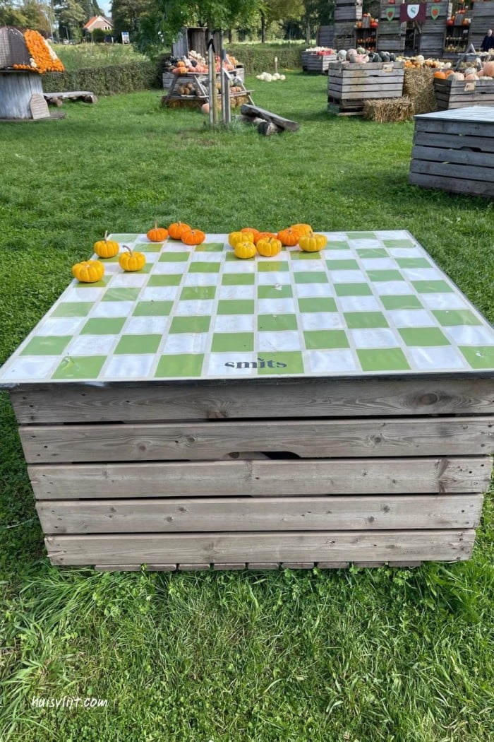 Pompoenparadijs tip: Pompoen decoraties 7 pompoenen buiten