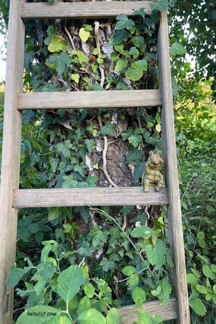 Simpele tuindecoratie: Ladder tegen een boom 2 tuindecoratie idee