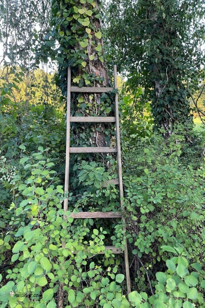 Simpele tuindecoratie: Ladder tegen een boom 1 tuindecoratie ladder