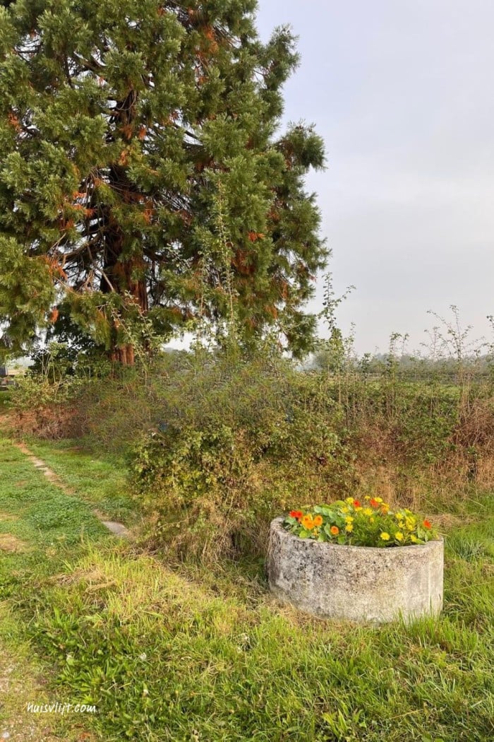 Oude drinkbak voor koeien hergebruiken 2 drinkbak hergebruiken