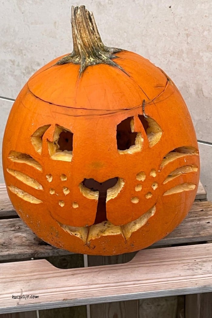 Katten pompoen gespot! 2 halloween pompoen kat
