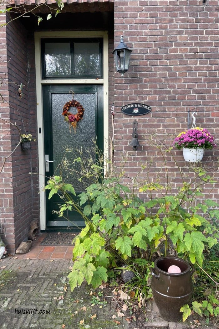 plant bij voordeur